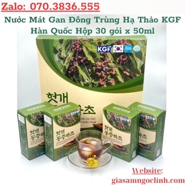 Nước Mát Gan Đông Trùng Hạ Thảo KGF Hàn Quốc Hộp 30 gói x 50ml