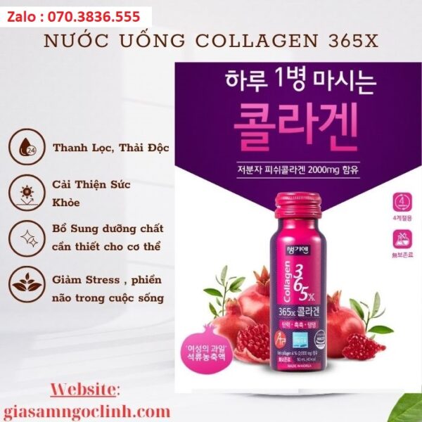 Nước Uống Collagen 365X