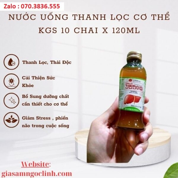 Nước Uống Thanh Lọc Cơ Thể KGS 10 Chai x120ml
