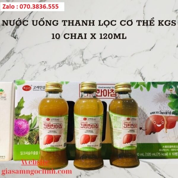 Nước Uống Thanh Lọc Cơ Thể KGS 10 Chai x120ml