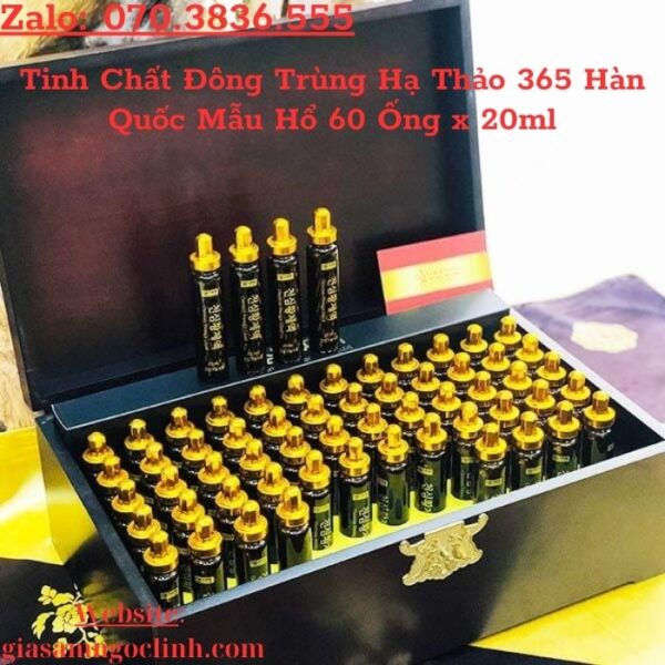 Tinh Chất Đông Trùng Hạ Thảo 365 Hàn Quốc Mẫu Hổ 60 Ống x 20ml
