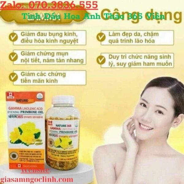 Tinh Dầu Hoa Anh Thảo 365 Viên