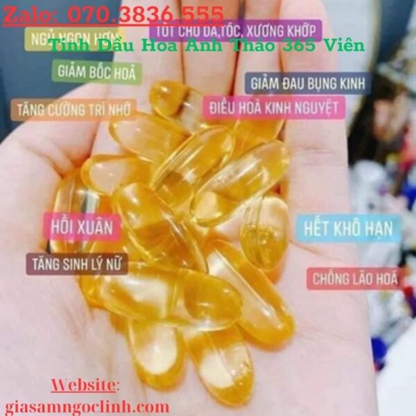 Tinh Dầu Hoa Anh Thảo 365 Viên