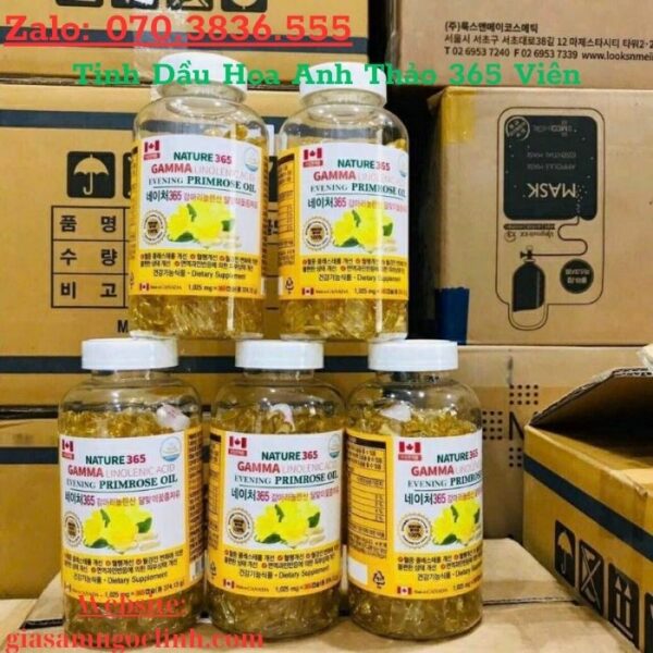Tinh Dầu Hoa Anh Thảo 365 Viên