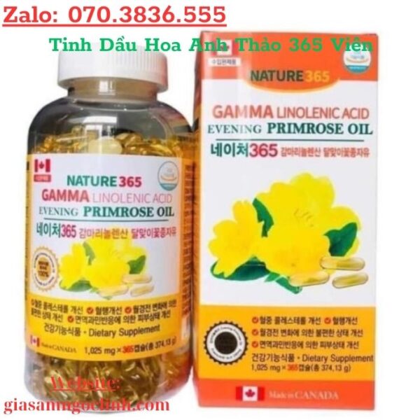 Tinh Dầu Hoa Anh Thảo 365 Viên