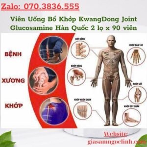 Viên Uống Bổ Khớp KwangDong Joint Glucosamine Hàn Quốc 2 lọ x 90 viên Vien Uong Bo Khop KwangDong Joint Glucosamine Han Quoc 2 lo x 90 vien 1