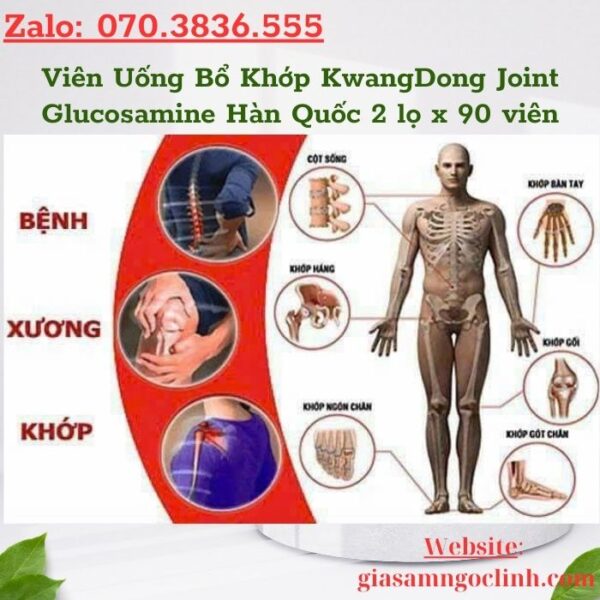 Viên Uống Bổ Khớp KwangDong Joint Glucosamine Hàn Quốc 2 lọ x 90 viên