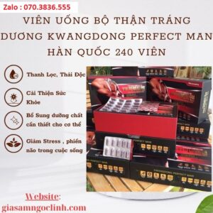 Vien Uong Bo Than Trang Duong Kwangdong Perfect Man Han Quoc 240 Vien 1