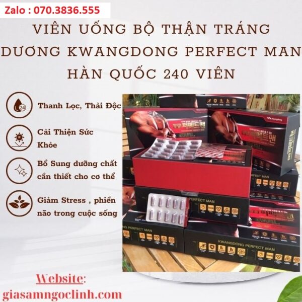 Viên Uống Bổ Thận Tráng Dương Kwangdong Perfect Man Hàn Quốc 240 Viên