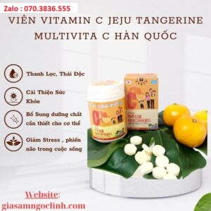 Viên Vitamin C JEJU Tangerine Multivita C Hàn Quốc Vien Vitamin C JEJU Tangerine Multivita C Han Quoc 1
