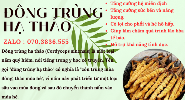 ĐÔNG TRÙNG HẠ THẢO